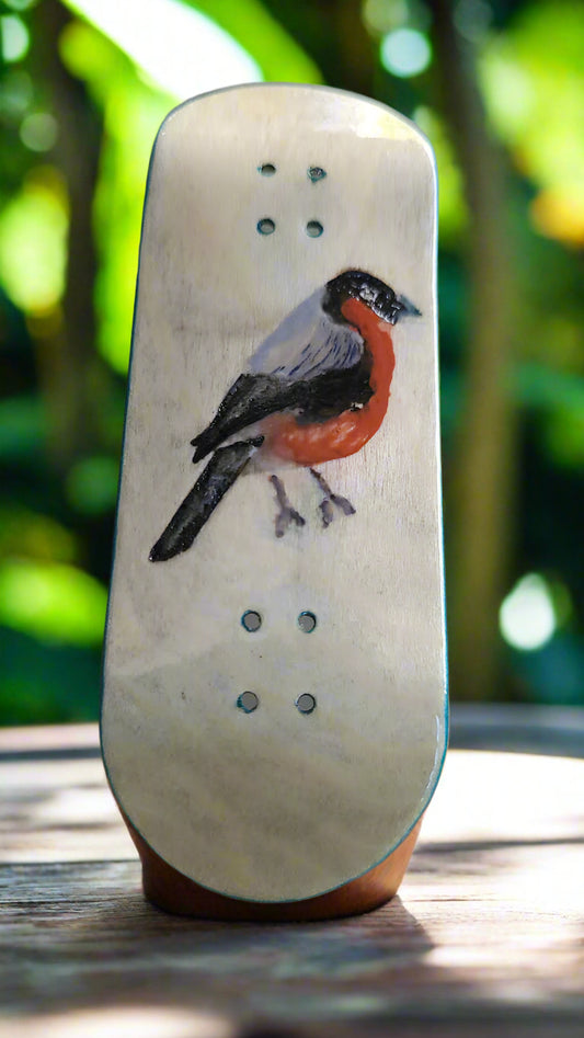 Little Red Breast Robin
